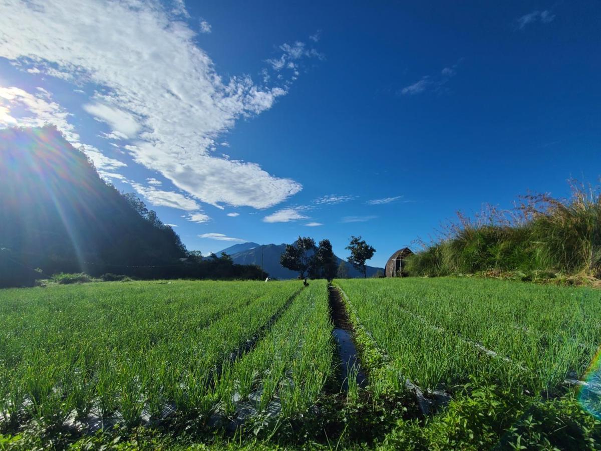 Batur Lake View Kintamani  Ngoại thất bức ảnh
